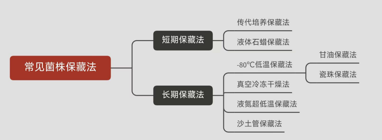 常見菌株保藏法的優(yōu)缺點(diǎn)對(duì)比