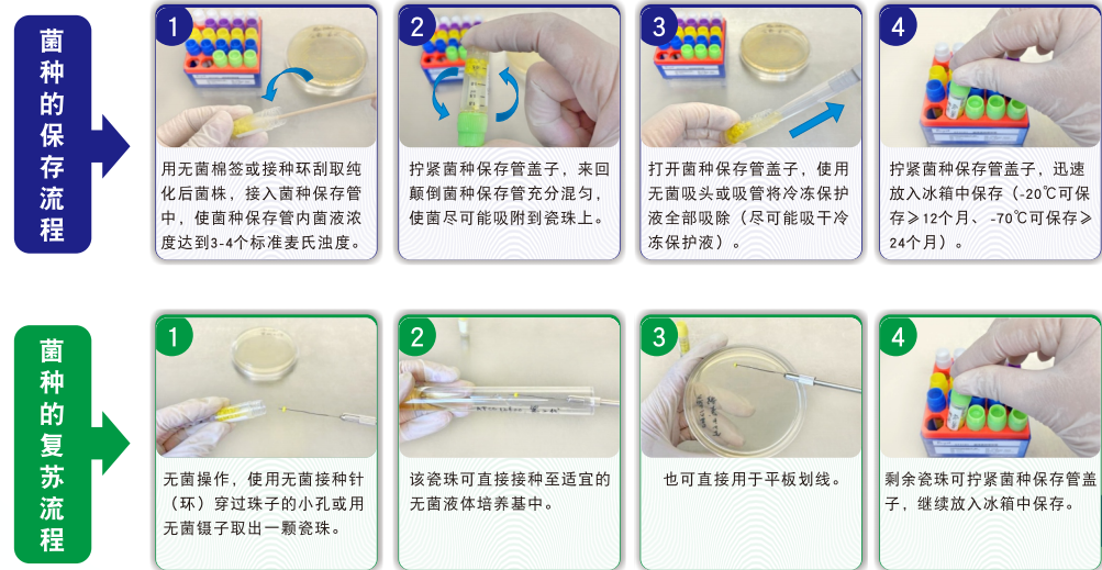 常見菌株保藏法的優(yōu)缺點(diǎn)對(duì)比